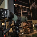 Swarovski Spotting Scopes are great for Digiscoping too