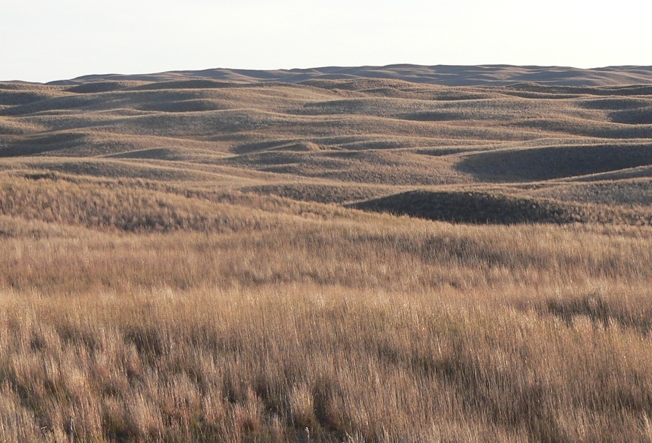 Nebraska Sandhills are great for hunting!