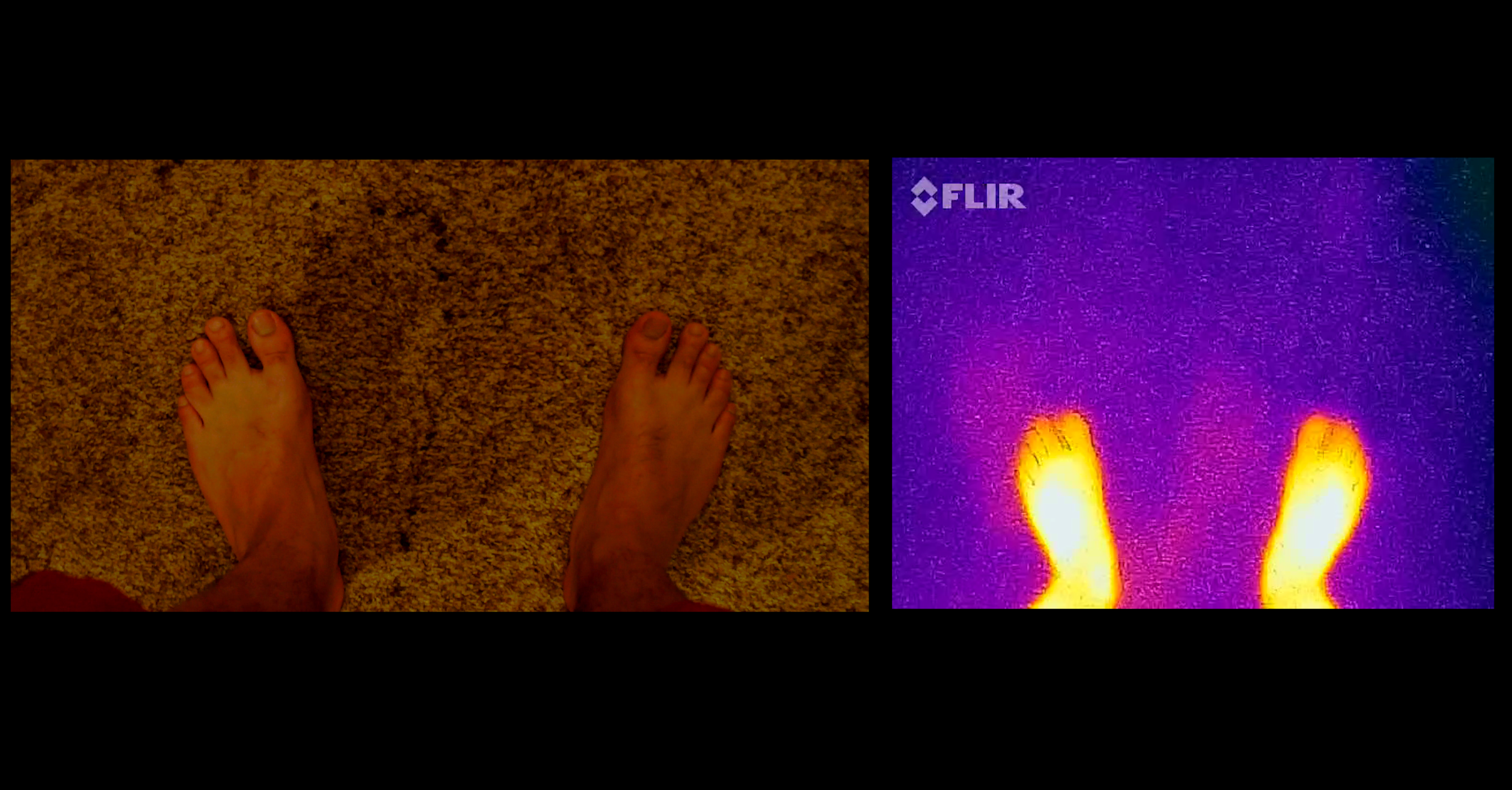 flir 1