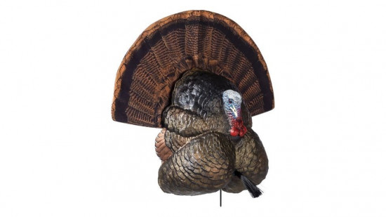 Turkey Decoy