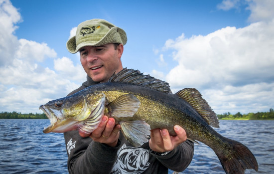 walleye pic