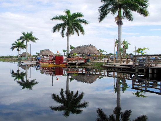 Florida everglades