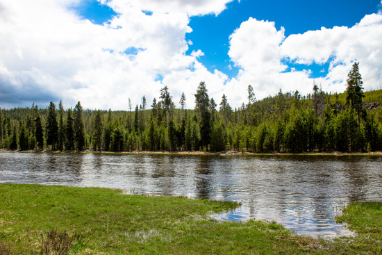 yellowstone river