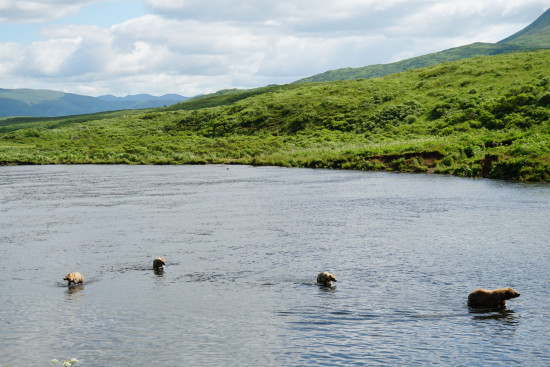 kodiak island