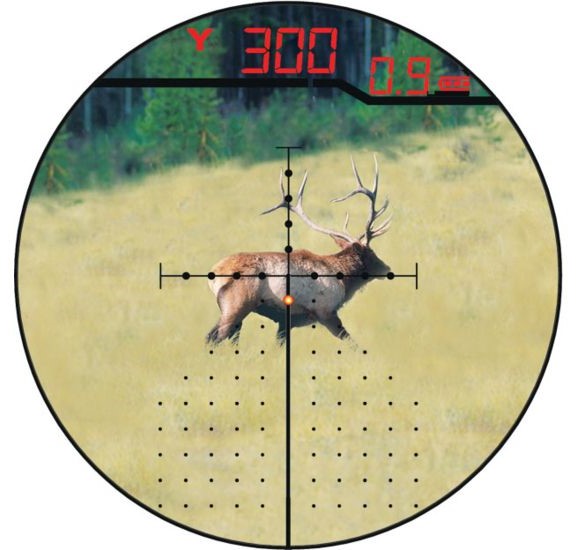 View through a laser rangefinder scope