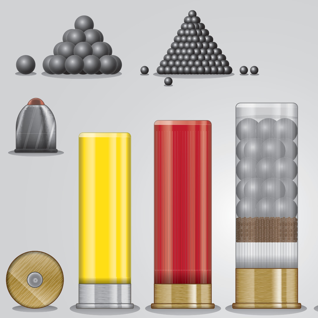 Variety of shotgun shell ammunition.