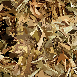 woodland hunting camo pattern with brown leaves